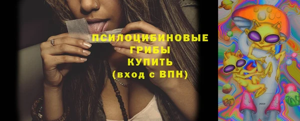 дживик Алексеевка