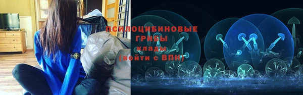 дживик Алексеевка