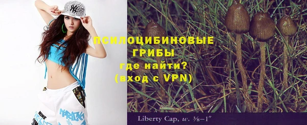 дживик Алексеевка