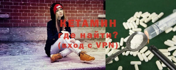 крисы Алексин