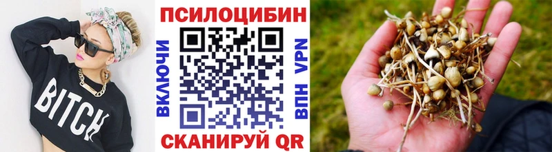Псилоцибиновые грибы ЛСД  как найти закладки  Закаменск 